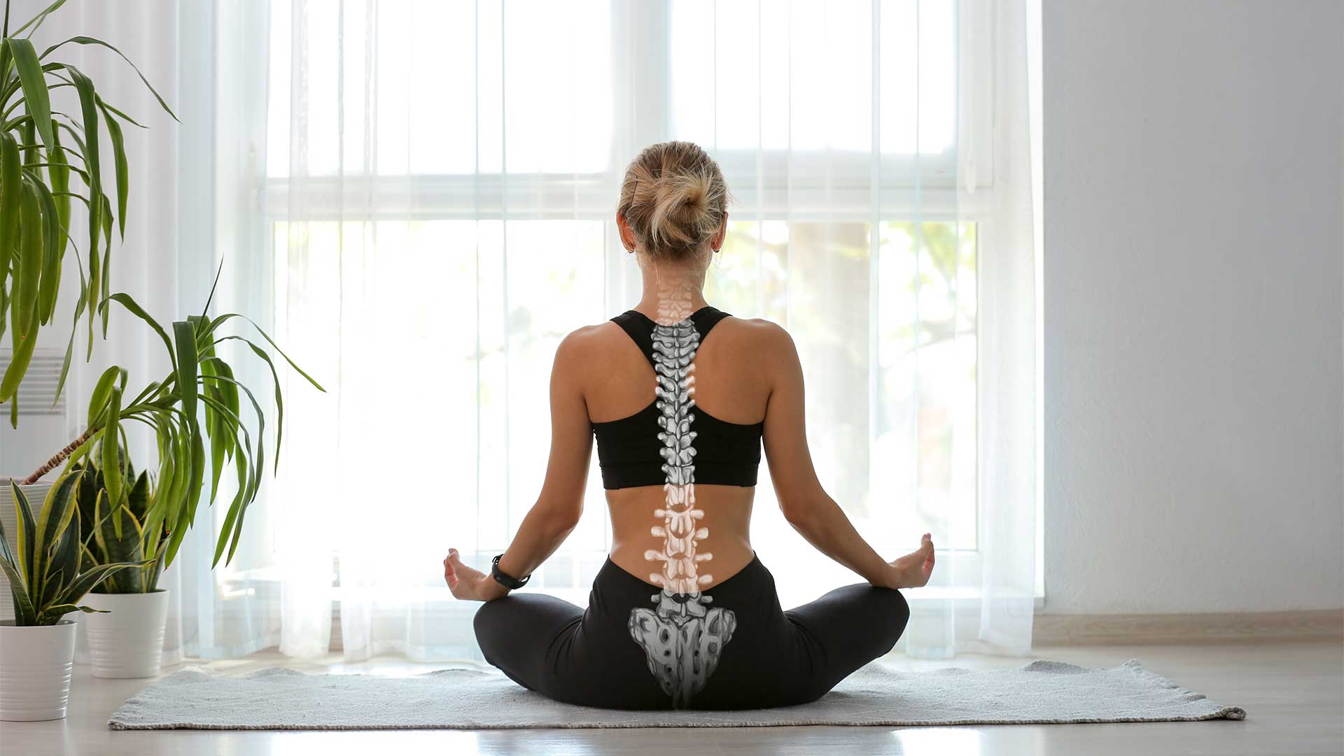Grönemeyer Rückentraining - Meine Rückenliebe - Die Wirbelsäule